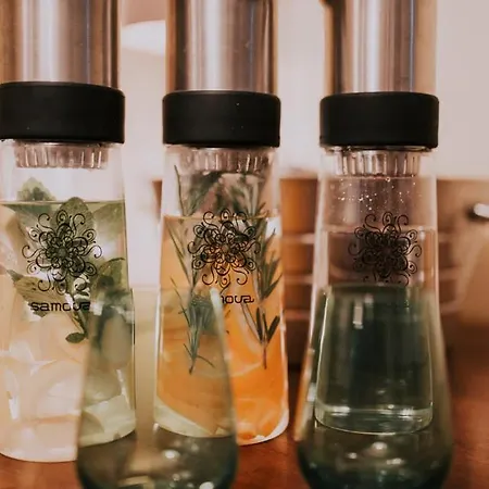 Ξενοδοχείο Seehotel Toepferhaus